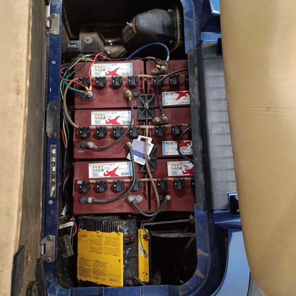 2016 EZGO TXT 48V ELECTRIC 2 PASSENGER - Image 9